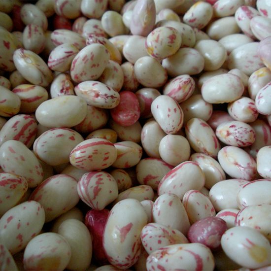 fresh-beans
