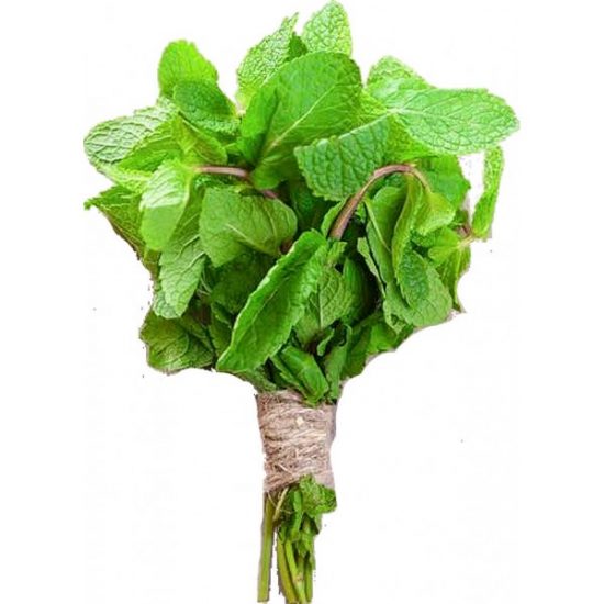 mint-leaves.jpg