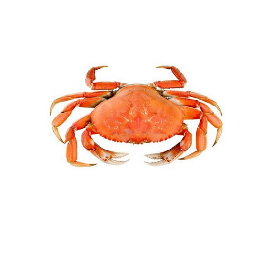 whole-crab-1.jpg