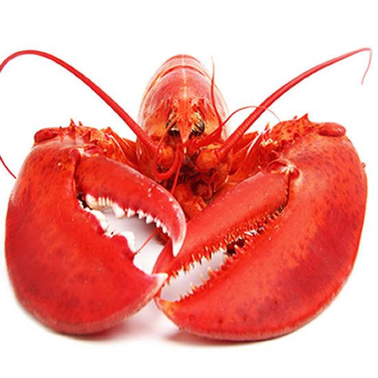whole-lobster.jpg