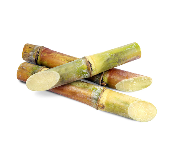 sugarcane-stalk-ug